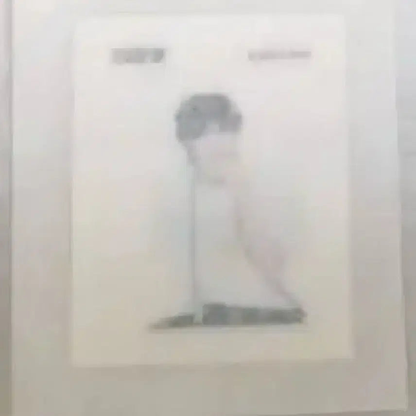 [BUNJANG] BOYNEXTDOOR Taesan Sticker / 보이넥스트도어 보넥도 태산 띠부씰  (새상품, 미개봉)