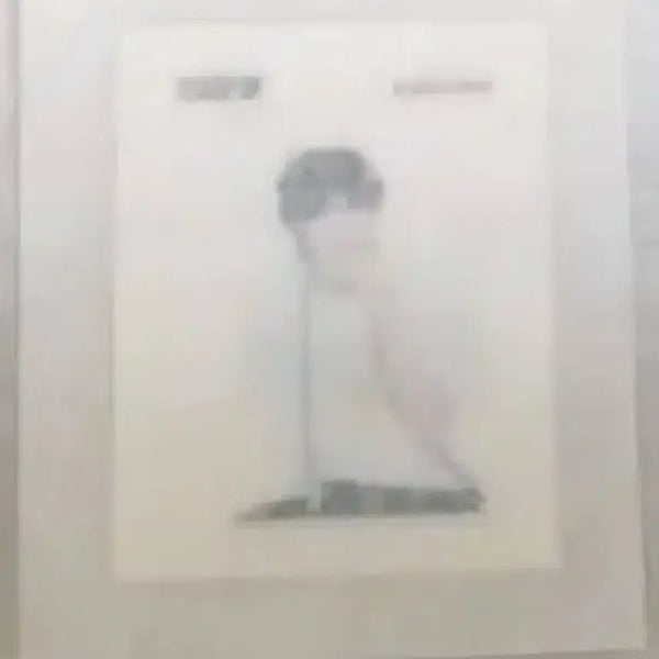 [BUNJANG] BOYNEXTDOOR Taesan Sticker / 보이넥스트도어 보넥도 태산 띠부씰  (새상품, 미개봉)