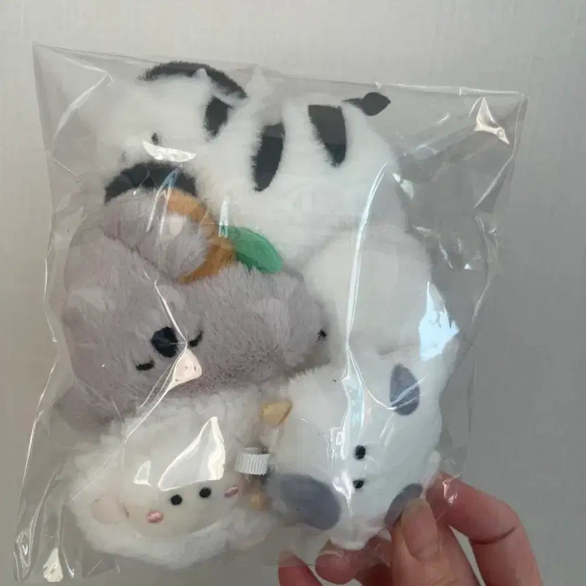 [BUNJANG] Ocean Animals, Ghost, Koala, Zebra Character Magnet Keychain Dolls (Set of 5) / 해양동물 유령 코알라 얼룩마 등 마그넷 자석 키링 인형 총5개