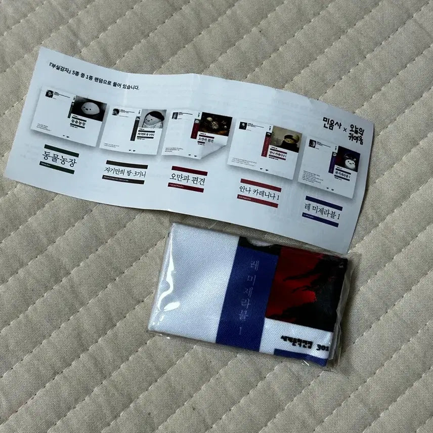 [BUNJANG] Les Misérables "Bushi Gamja" "Minumsa" Limited Edition Keyring / 레미제라블 부실감자 민음사 키링 액정닦티
