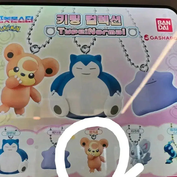 [BUNJANG] Pokemon Kiting Swing Collection Teddiursa (Sealed) / 포켓몬 키링 스윙 컬렉션 깜지곰 미개봉