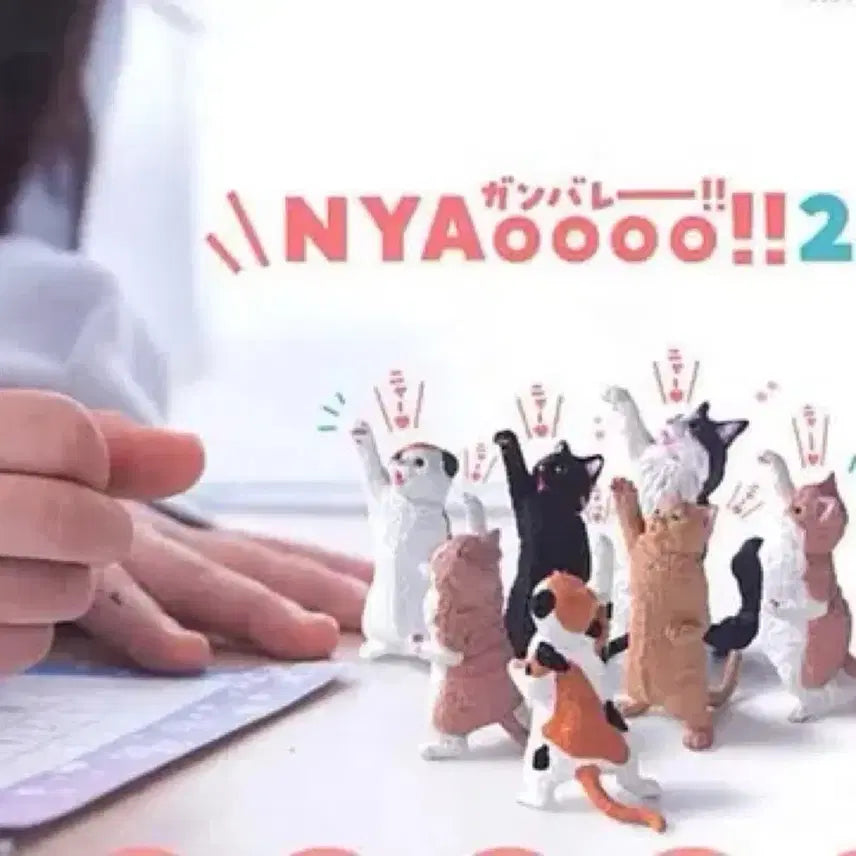 [BUNJANG] Fighting Cat Gacha Figure / 화이팅하는 고양이 가챠 판매합니다.