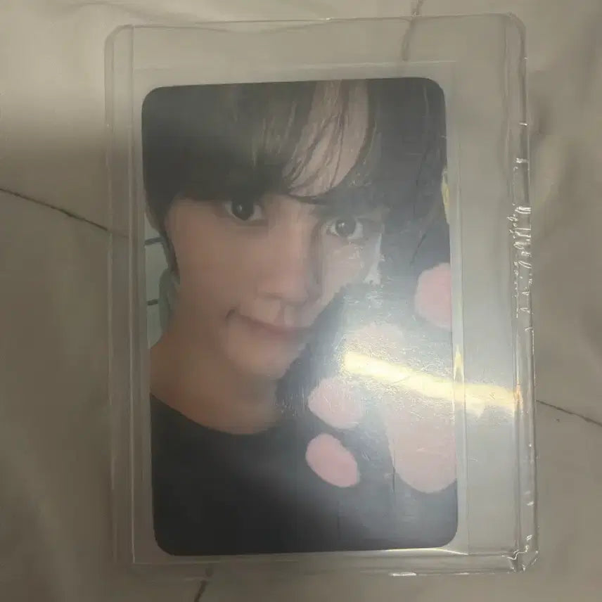 [BUNJANG] ZB1 Kim Gyuvin Concert Photocard Zerose / 김규빈 콘서트 제베원 앤더블 포카 제로즈 제로즈존