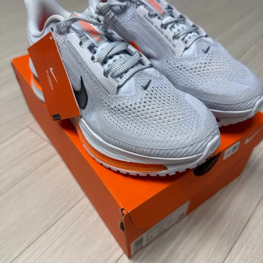 [BUNJANG] Nike Pegasus Premium Total Orange HQ2592-992 / [250] 나이키 페가수스 프리미엄 토탈 오렌지