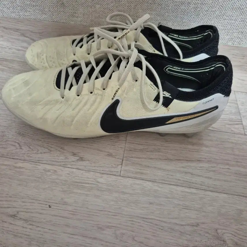 [BUNJANG] Nike Tiempo Legend 10 Elite AG 265 / 나이키 티엠포 레전드 10 엘리트 AG 265
