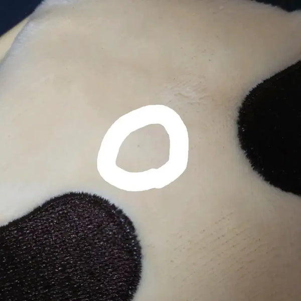 [BUNJANG] Pixelie Pouch Gyubae / 픽셀리 파우치 각별