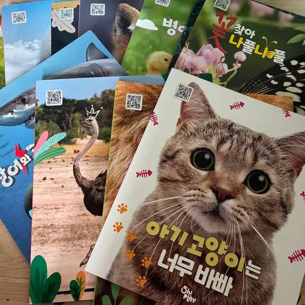 [BUNJANG] Children's Animal Book Set (11 Volumes) / 동물책 11권
