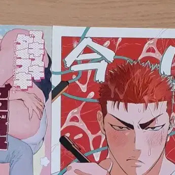 [BUNJANG] Slam Dunk Doujinshi HoYeol Baekho Collection (13 Volumes) / 슬램덩크 동인지 호열백호 회지 양도