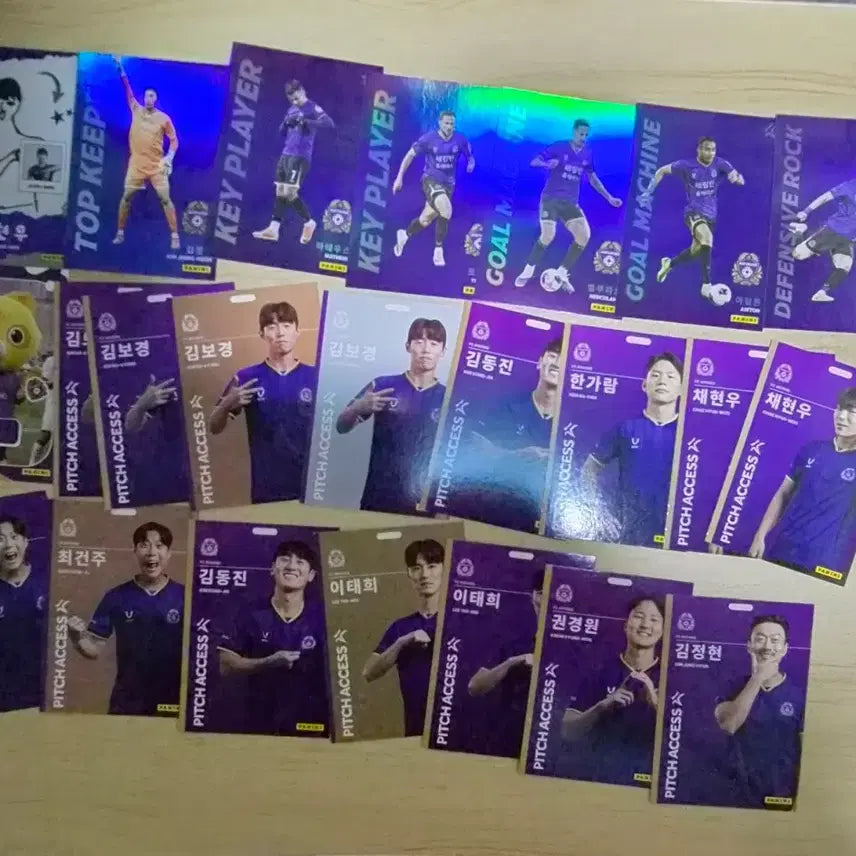 [BUNJANG] K League Panini Card Bundle Set - Anyang FC (23 Cards) / 26 파니니카드 K리그 안양일괄 23장