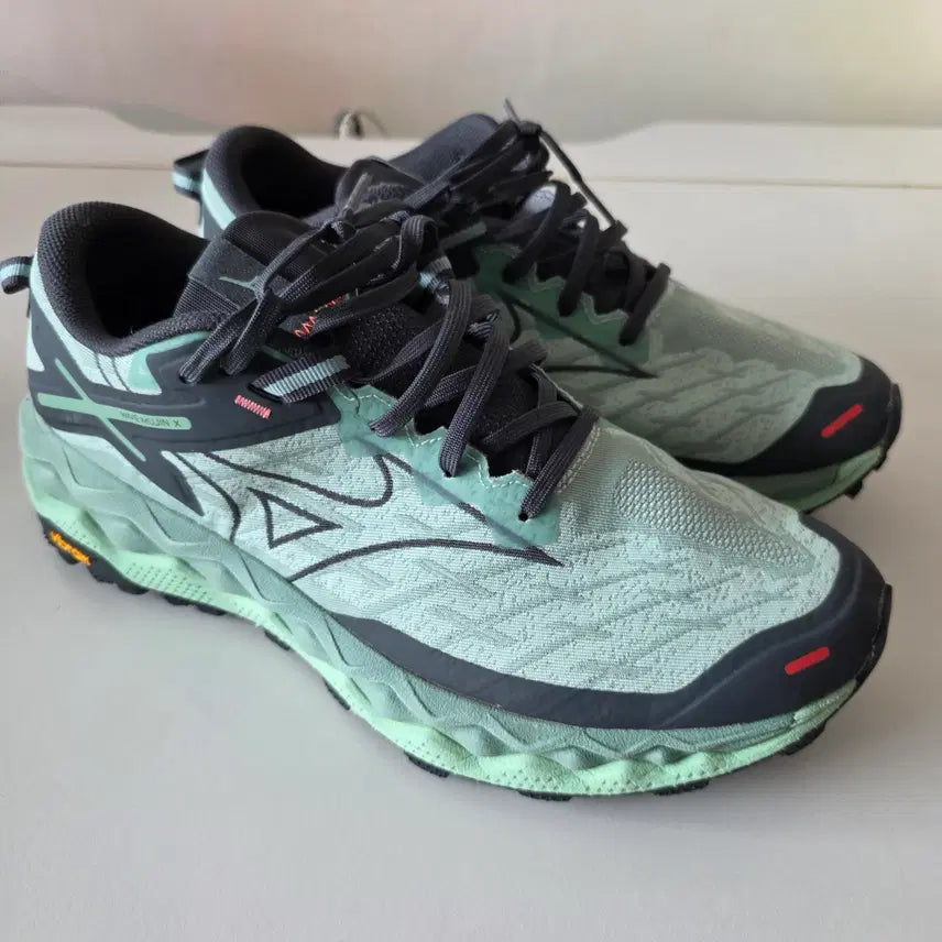 [BUNJANG] Mizuno Mujin 10 Trail Running Shoes 280mm / 미즈노 트레일러닝 무진10 280