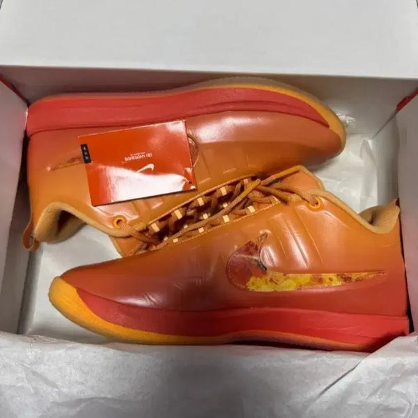 [BUNJANG] Nike Book 2 Basketball Shoes / 나이키 북2 농구화 265