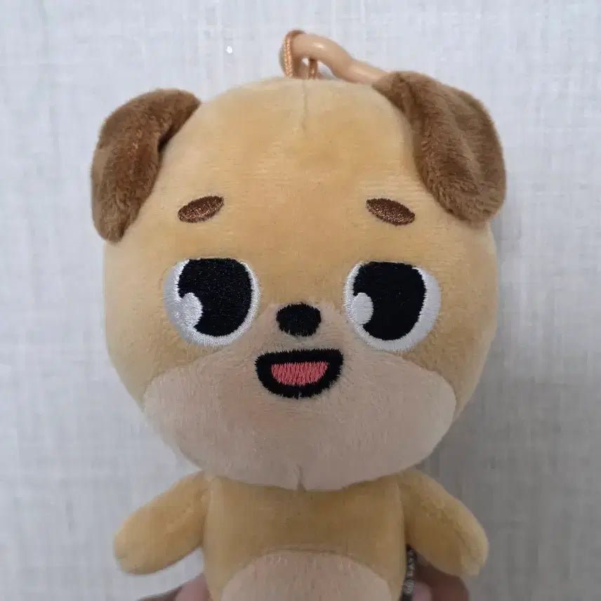 [BUNJANG] Day6 Dennimals 2020 Don (Old Version) / 데이식스 데니멀즈 2020 돈 구버전