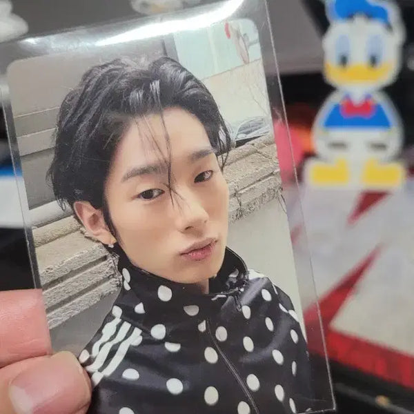 [BUNJANG] NCT NOW I'M YOUNG Show Me Photocard / 나우아임영 쇼미 포카