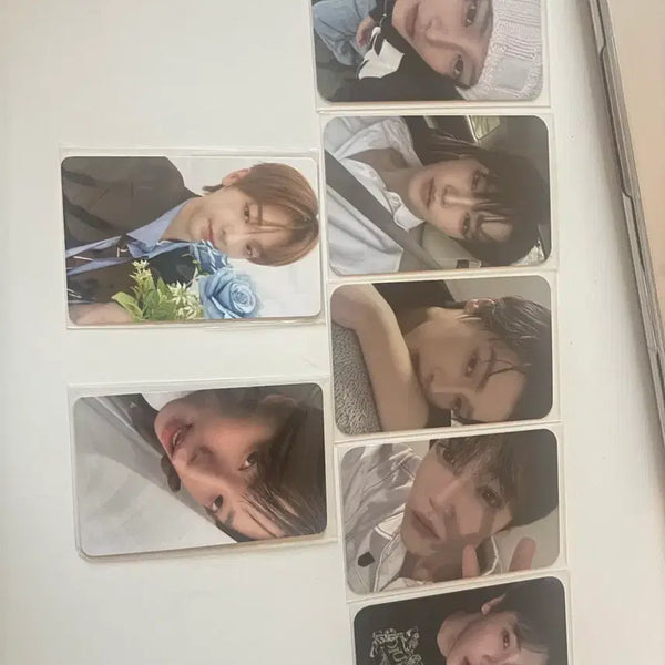 [BUNJANG] Families Choi Ripwoo Kang Woojin Jang Han-eum Photocard / 패밀리즈 포카 장한음 최립우 강우진