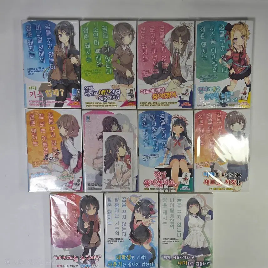 [BUNJANG] The Spring Weigths Over You is a Complete Set of Volumes 1-11, First Edition / 청춘 돼지는 시리즈 올초판 1~11권 올초판
