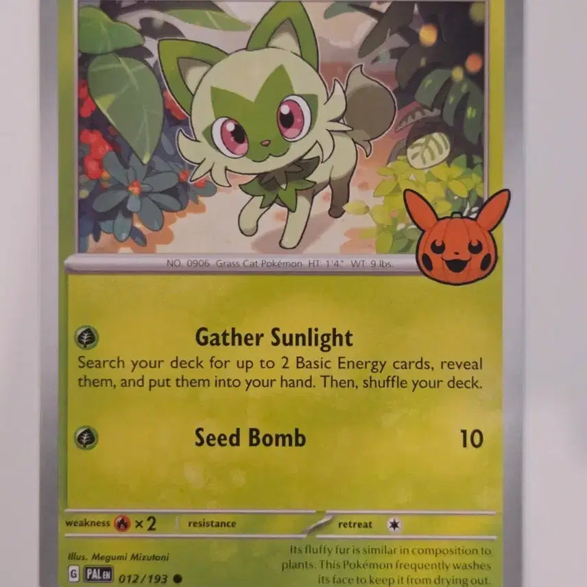 [BUNJANG] Pokemon TCG Sprigatito Halloween Pumpkin Pikachu Stamp (Paldea Evolved 012/193) - North American Exclusive / [북미판] 포켓몬 카드 나오하 할로윈 호박 피카츄 스탬프 (Paldea Evolved 012/193)