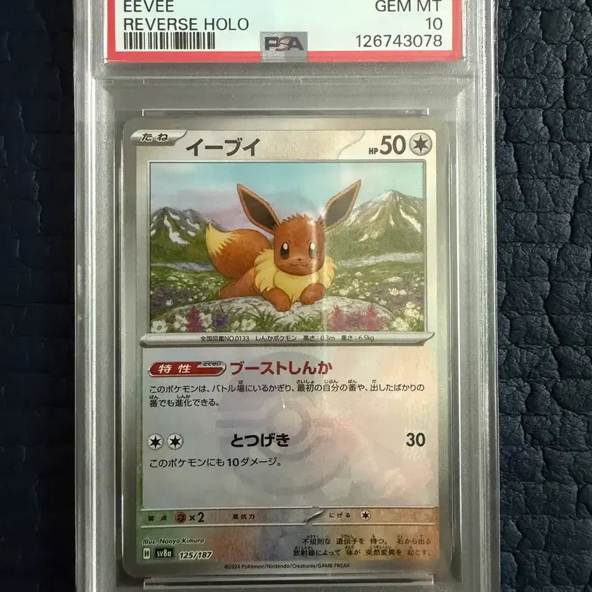 [BUNJANG] 2024 Eevee Reverse Holo Pokémon Card JP PSA 10 / 2024 포켓몬 카드 이브이 리버스 홀로 PSA 10 일어판