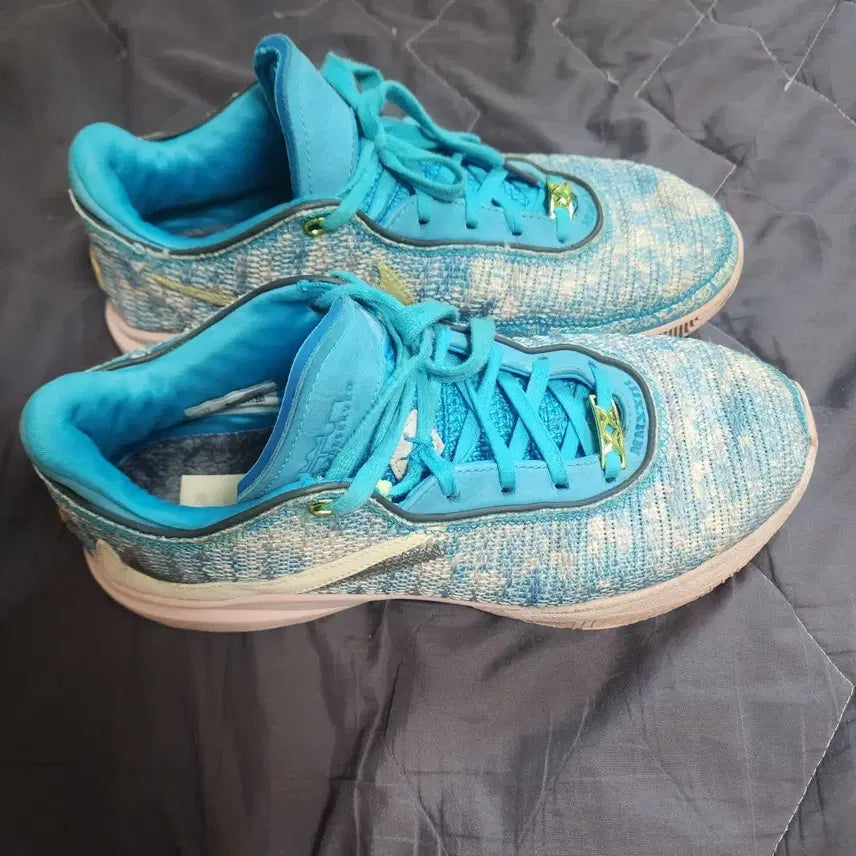 [BUNJANG] Nike LeBron 20 All-Star Basketball Shoes (Size 290) / 르브론20 올스타 290