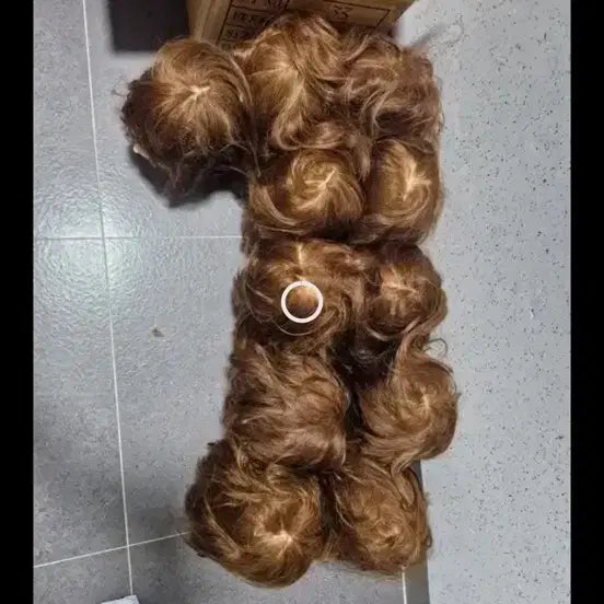 [BUNJANG] Proa 100% Human Hair Wig / 프로아 인모 100