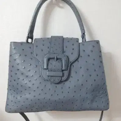 [BUNJANG] Homiga Ostrich Leather Tote Bag / 호미가 타조가죽 토트백