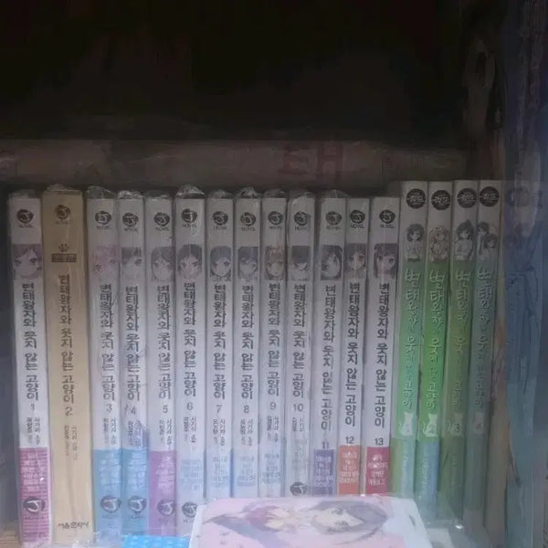 [BUNJANG] The Prince and the Not-Smiling Cat Novel Complete First Edition / 왕자와 웃지 않는 고양이 소설 전권 초판 라노벨