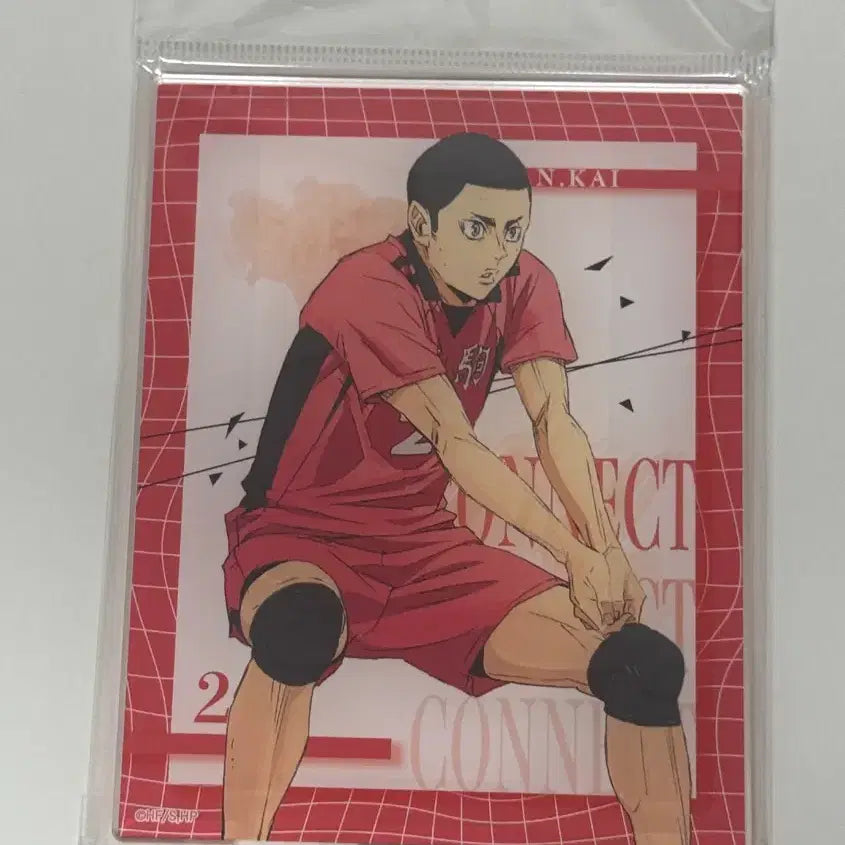 [BUNJANG] Haikyuu!! Nobuyuki Kai Acrylic Stand / 하이큐 카이 노부유키 아크릴 스탠드 판매