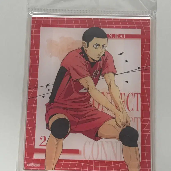 [BUNJANG] Haikyuu!! Nobuyuki Kai Acrylic Stand / 하이큐 카이 노부유키 아크릴 스탠드 판매