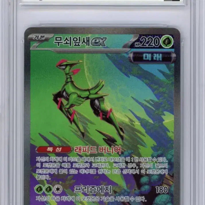 [BUNJANG] BRG 10 Iron Leaf EX SAR Graded Card / (brg 10) 포켓몬 카드 무쇠잎새EX SAR 최고등급 카드