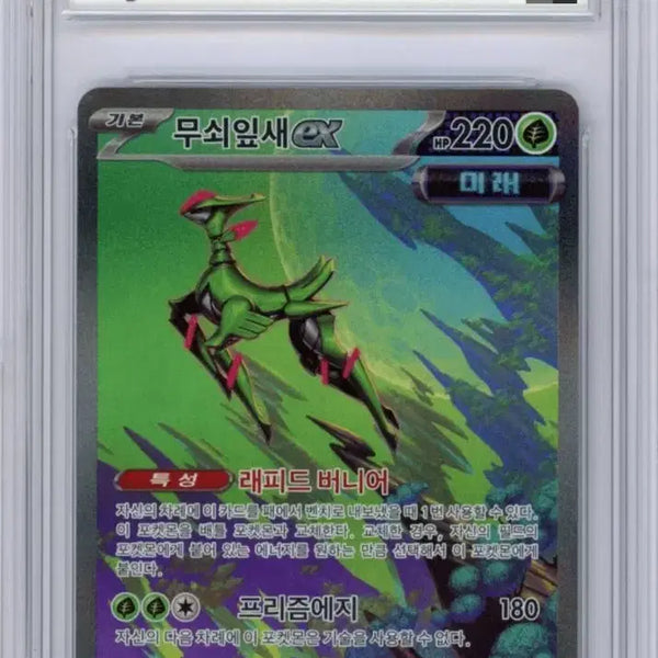[BUNJANG] BRG 10 Iron Leaf EX SAR Graded Card / (brg 10) 포켓몬 카드 무쇠잎새EX SAR 최고등급 카드