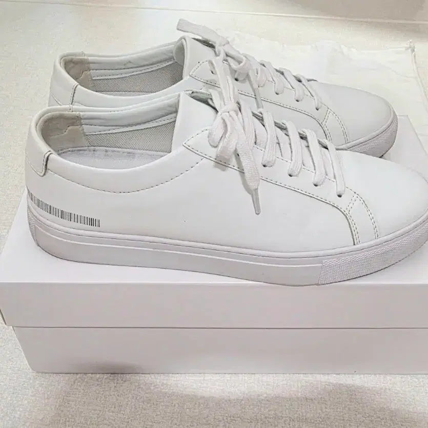 [BUNJANG] P-31 White Sneakers 5.5cm Height Increasing / P-31 화이트 스니커즈 5.5cm