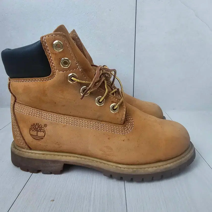 [BUNJANG] Timberland 6-Inch Waterproof Boots Size 225 / 팀버랜드 6인치 워터프루프 225