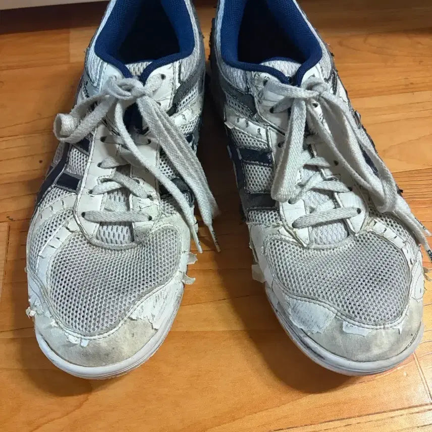 [BUNJANG] ASICS Roterrebre 270 / 아식스 로테리브레(급처)270