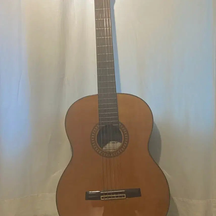 [BUNJANG] Classic Guitar / 클래식기타