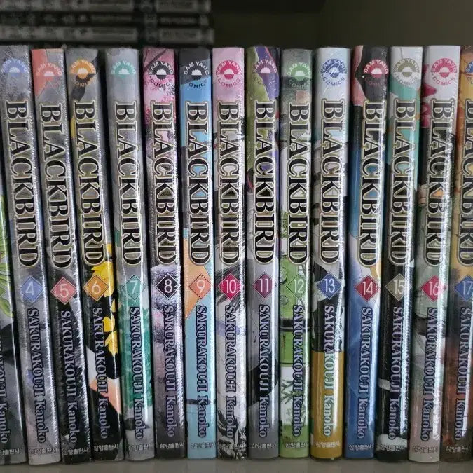 [BUNJANG] Black Bird Complete Manga Series Volumes 1-18 (Sealed) / 블랙버드 1~18권 완결 만화책(미개봉) 판매합니다