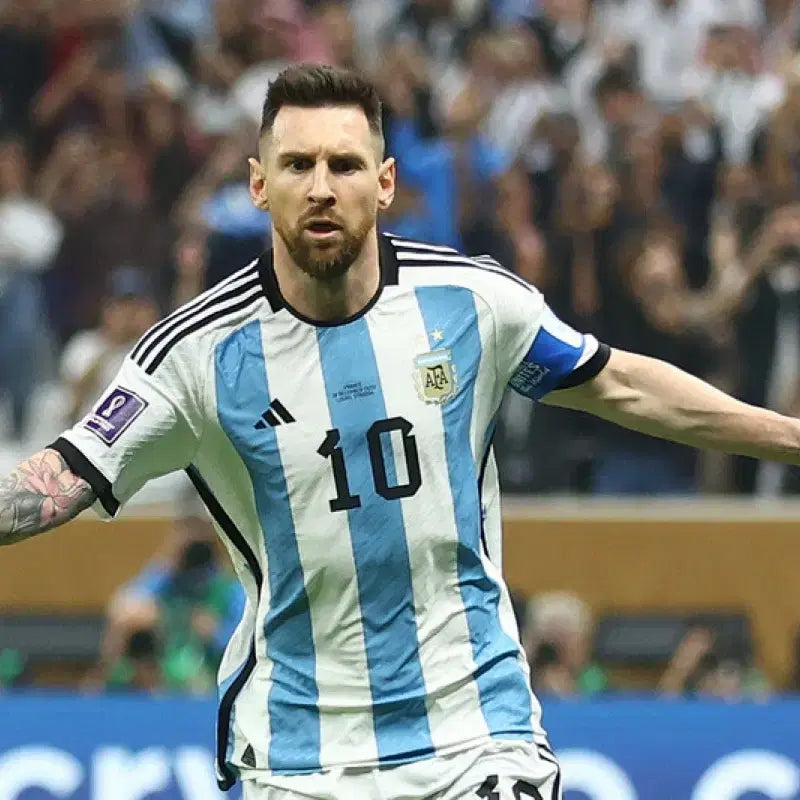 [BUNJANG] Argentina 2022-2024 Qatar World Cup Authentic Jersey / 구매) 22-24 카타르 월드컵 아르헨티나 어센틱