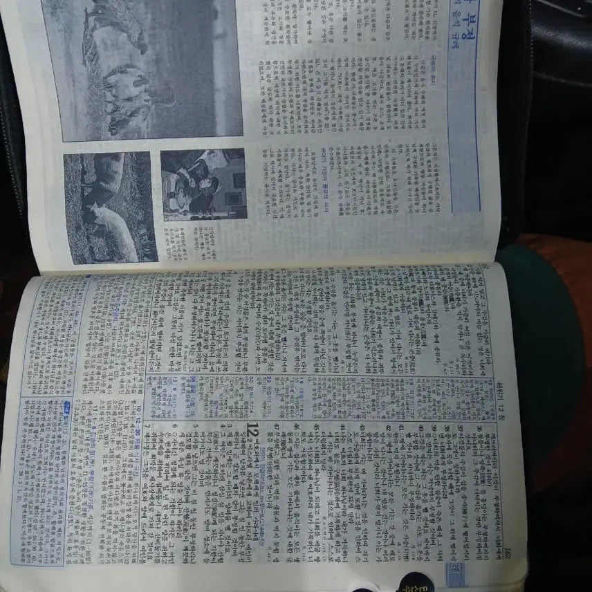[BUNJANG] Antique Study Bible with Commentary / 관주해설골동품옛날성경 전서