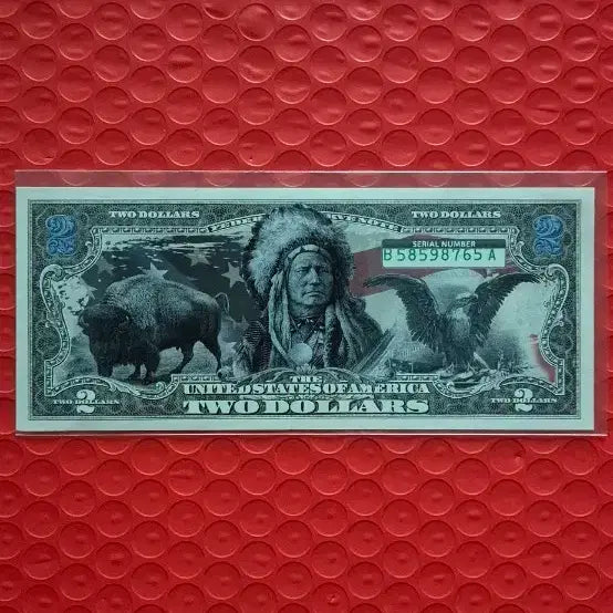 [BUNJANG] Rare US 2 Dollar Bill Featuring Indian Chief and Animal Design / 미국 2달러 지폐 인디언 추장 동물 그림
