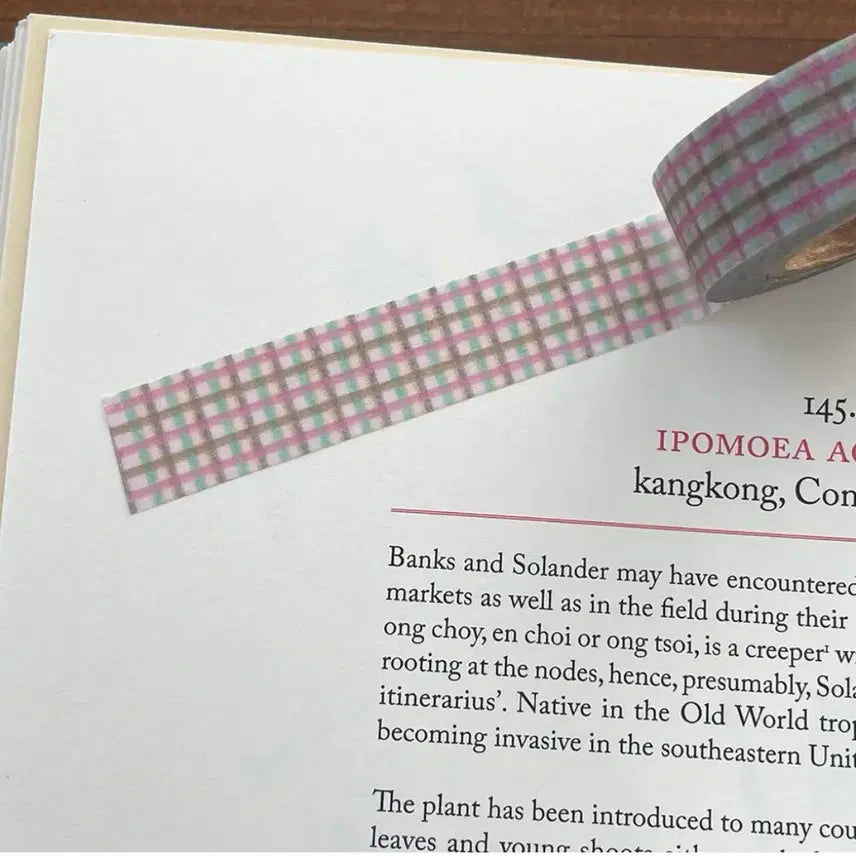 [BUNJANG] I'm In It Logi Check Washi Tape / 아이민잇 로지체크 마테