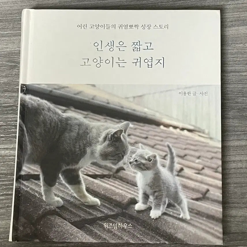 [BUNJANG] Life is Short and Cats are Cute Book / 인생은 짧고 고양이는 귀엽지 )책