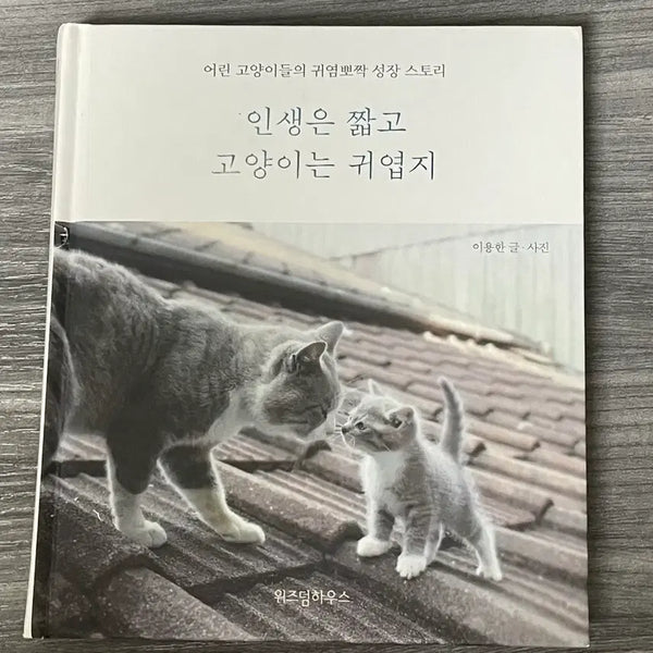 [BUNJANG] Life is Short and Cats are Cute Book / 인생은 짧고 고양이는 귀엽지 )책