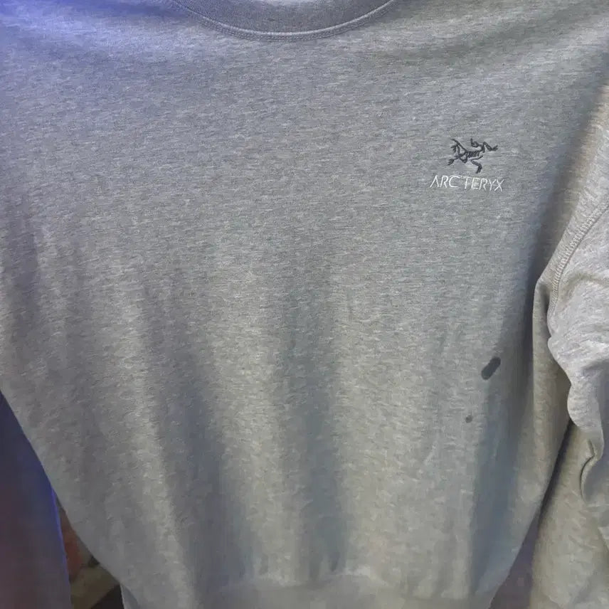 [BUNJANG] Arc'teryx Sweatshirt Grey L / 아크테릭스 맨투맨 회색L
