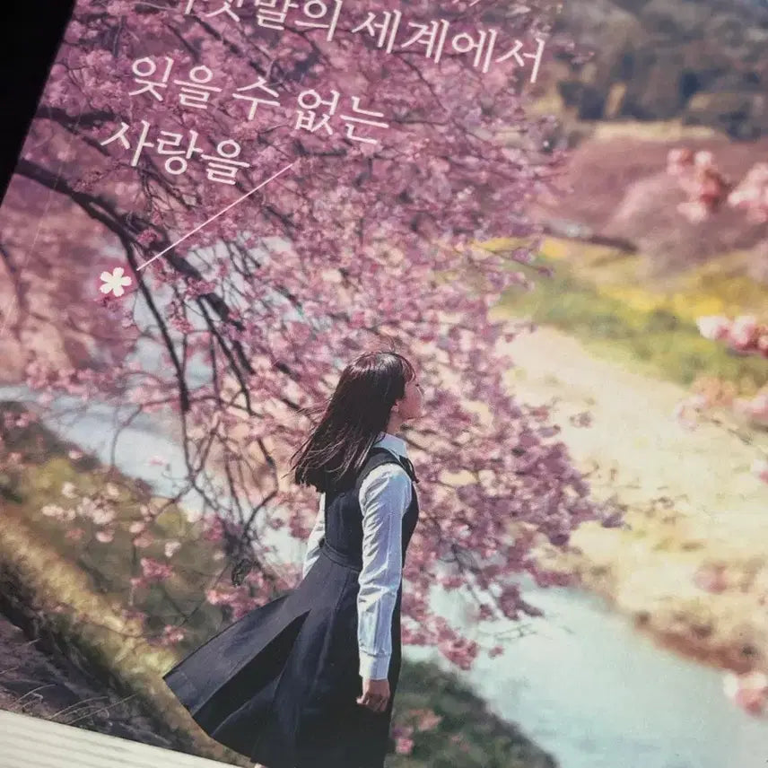 [BUNJANG] Tonight, I'll Sell an Unforgettable Love in the World of Lies / 오늘 밤, 거짓말의 세계에서 잊울 수 없는 사랑을 팔아요!