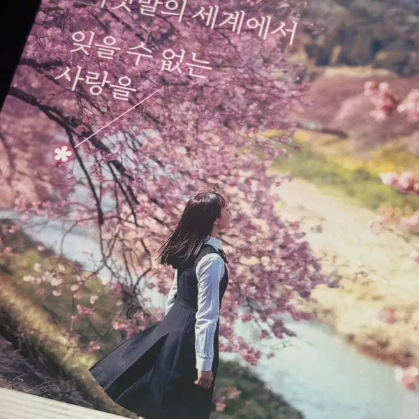 [BUNJANG] Tonight, I'll Sell an Unforgettable Love in the World of Lies / 오늘 밤, 거짓말의 세계에서 잊울 수 없는 사랑을 팔아요!