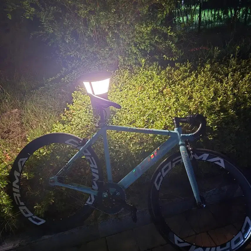 [BUNJANG] Unknown Pixie Bicycle Mint Color Corima Decal / 언노운 픽시 자전거 민트색 코리마 데칼 판/대 급처 꿀매