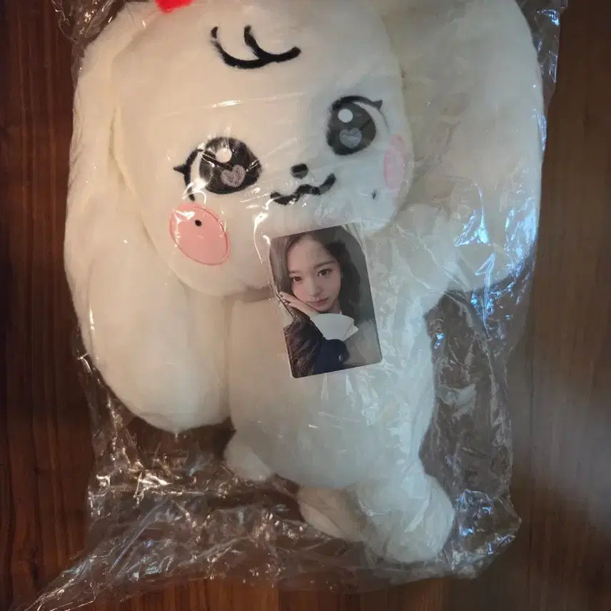 [BUNJANG] IVE Rei Everland Hug Bag / 아이브 에버랜드 원영 허그가방