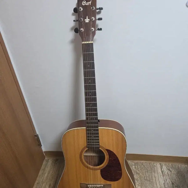 [BUNJANG] Colt Earth100 Acoustic Guitar / 콜트earth100