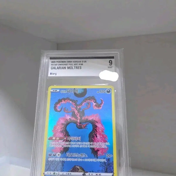 [BUNJANG] Shinjikanda Fire Line Consecutive Numbered Cards (Galarian Fire AR / Fire Holo) BRG9 / 신지칸다 파이어 라인 연번(가라르 파이어ar/파어이 홀로)