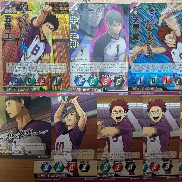 [BUNJANG] Haikyuu!! Shiratorizawa Bakka Card Bundle Set / 하이큐 바보카 시라토리자와 일괄