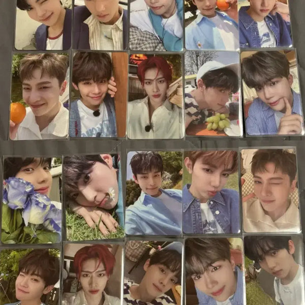 [BUNJANG] ZB1 (ZEROBASEONE) 169 Photocards Bundle Set / 앤더블 제로베이스원 169장 포카 굿즈 일괄 판매
