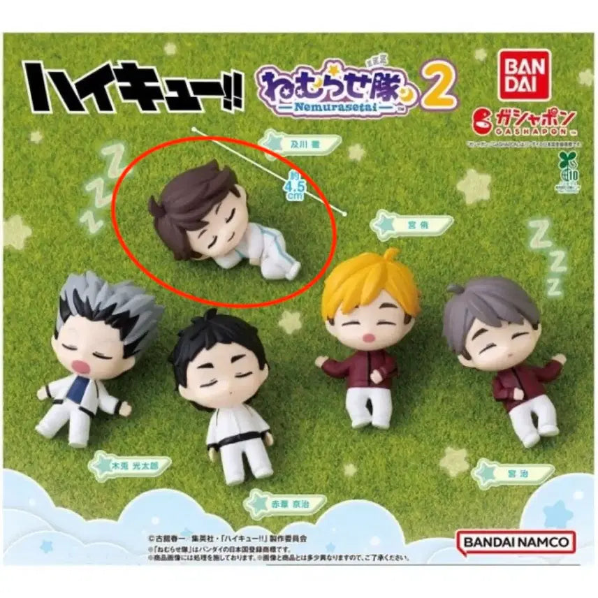 [BUNJANG] Haikyuu!! Nemurasetai Vol. 2 Oikawa Toru Figure (Sealed) / 하이큐 네무라세타이 미개봉 오이카와